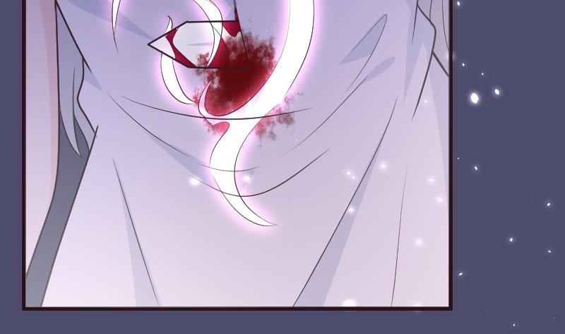 《血族总裁别咬我》第216话 你所以为的愚蠢 第29页