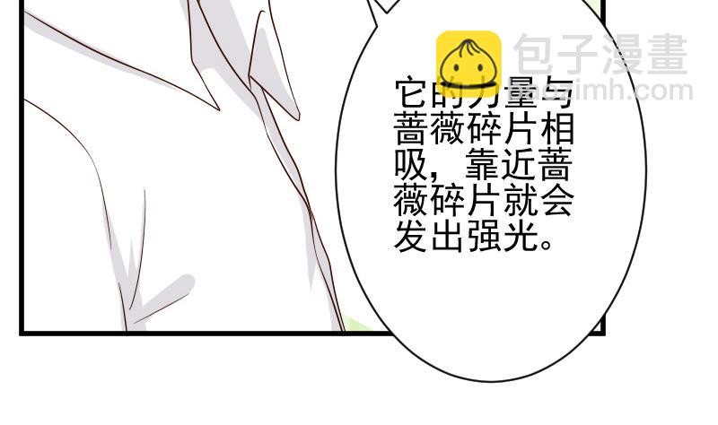 《血族男神别咬我》第83话 把蔷薇碎片带回来 第14页