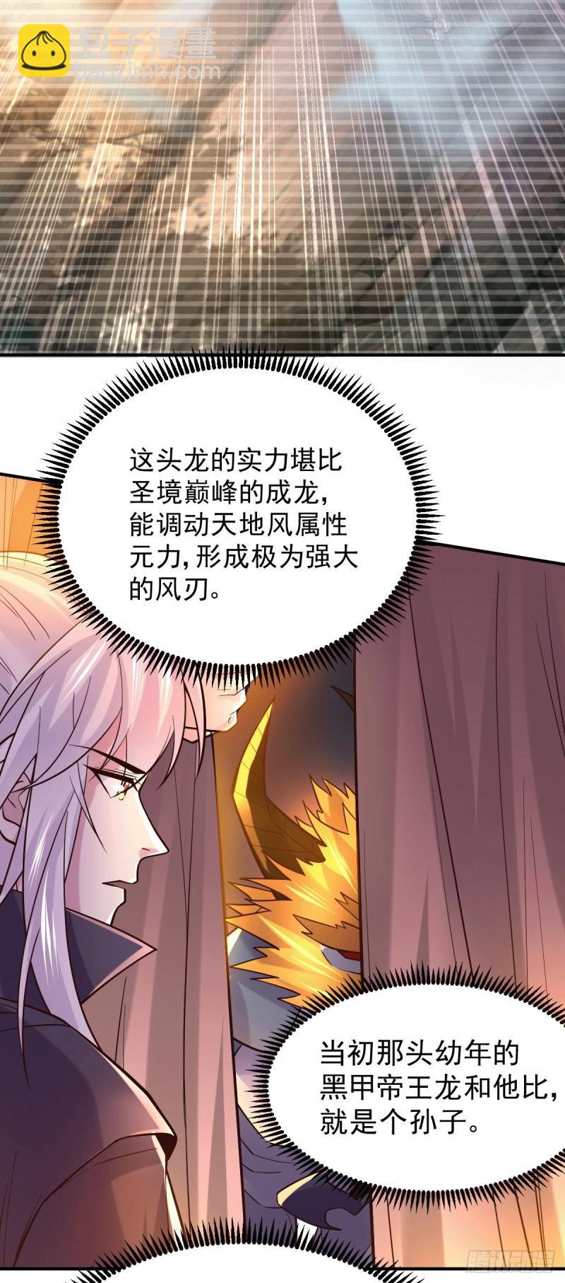 《万古赘婿》第119话 疯狂的拍卖会 第3页