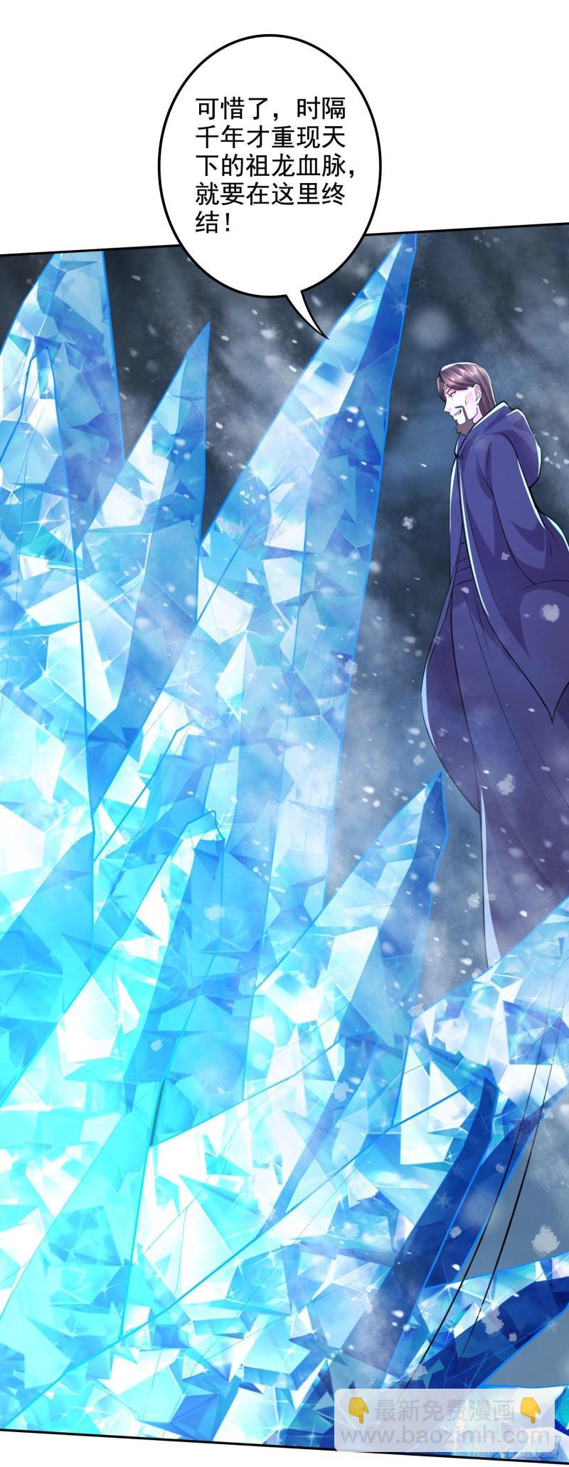 《万古赘婿》第211话 掀翻这玲珑雪山的天 第13页