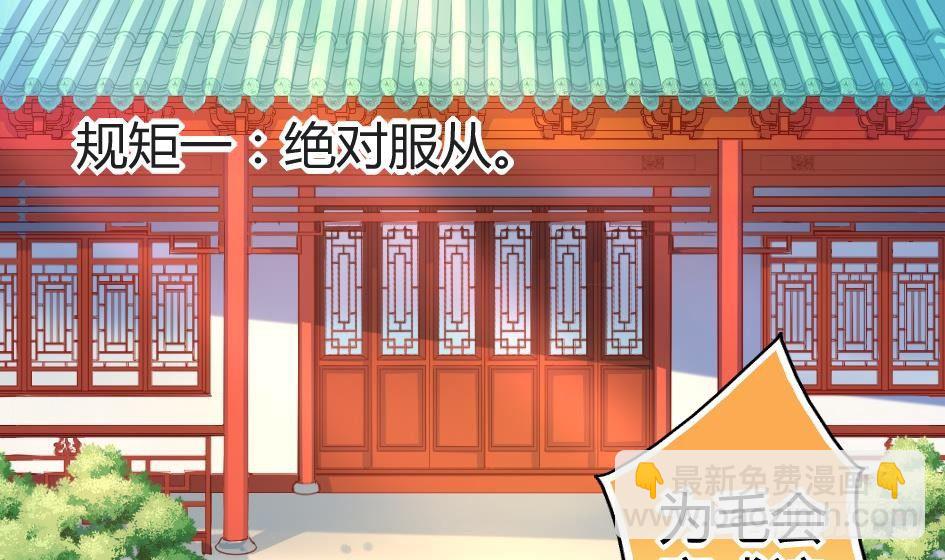 《天狐劫》第003劫 教你做人 第10页