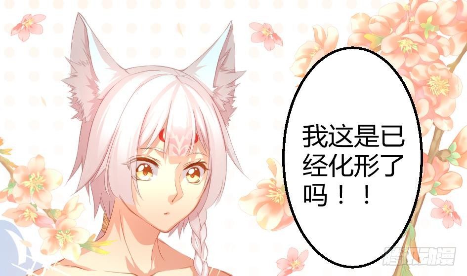 《天狐劫》第004劫 这不是耽美 第19页