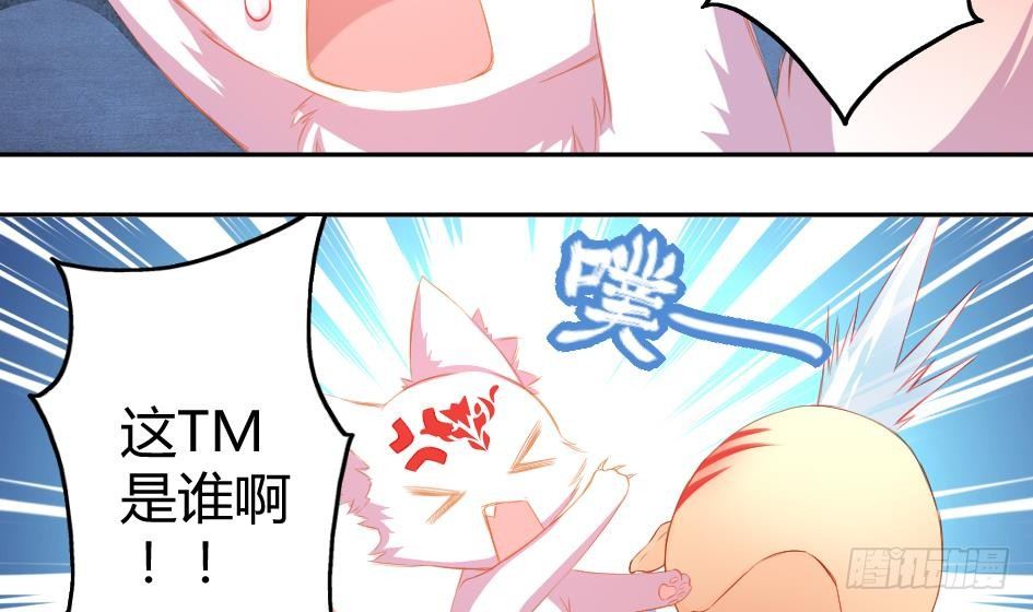 《天狐劫》第004劫 这不是耽美 第5页