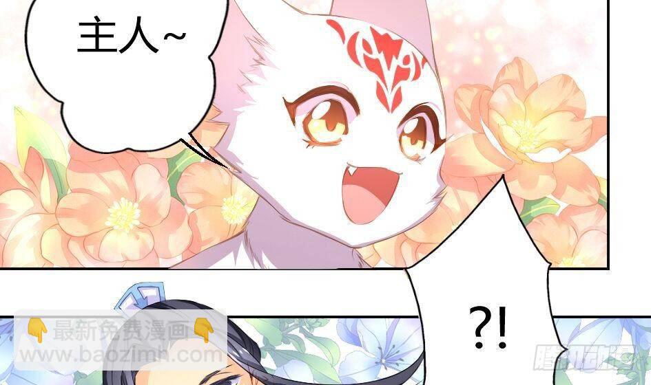 《天狐劫》第007劫 华灵 第44页