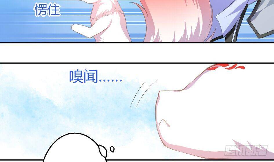 《天狐劫》第007劫 华灵 第47页