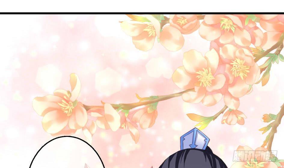 《天狐劫》第009劫 双子出场 第16页