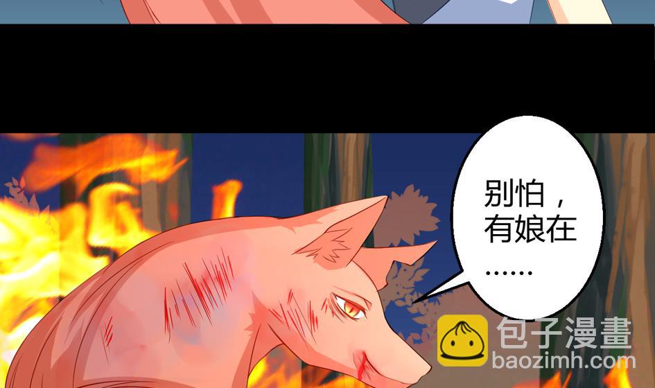 《天狐劫》第025劫 霏流的噩梦 第28页