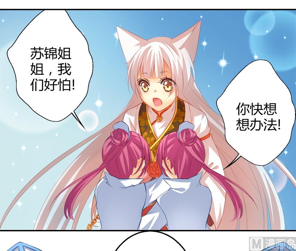 《天狐劫》第036劫 被迫变聪明 第5页