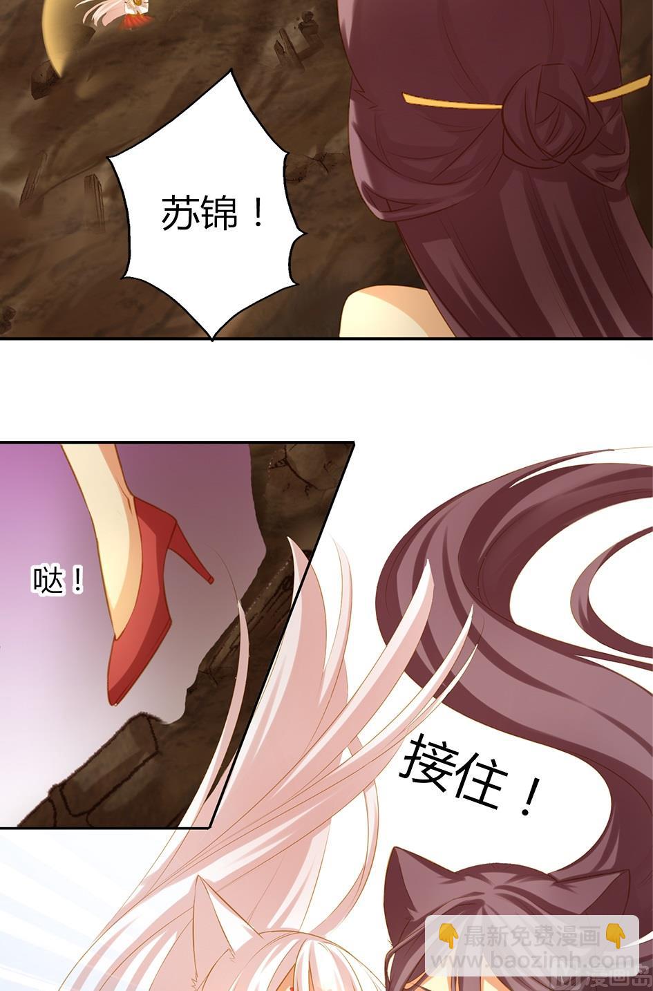 《天狐劫》第046劫 突如其来的危机 第18页