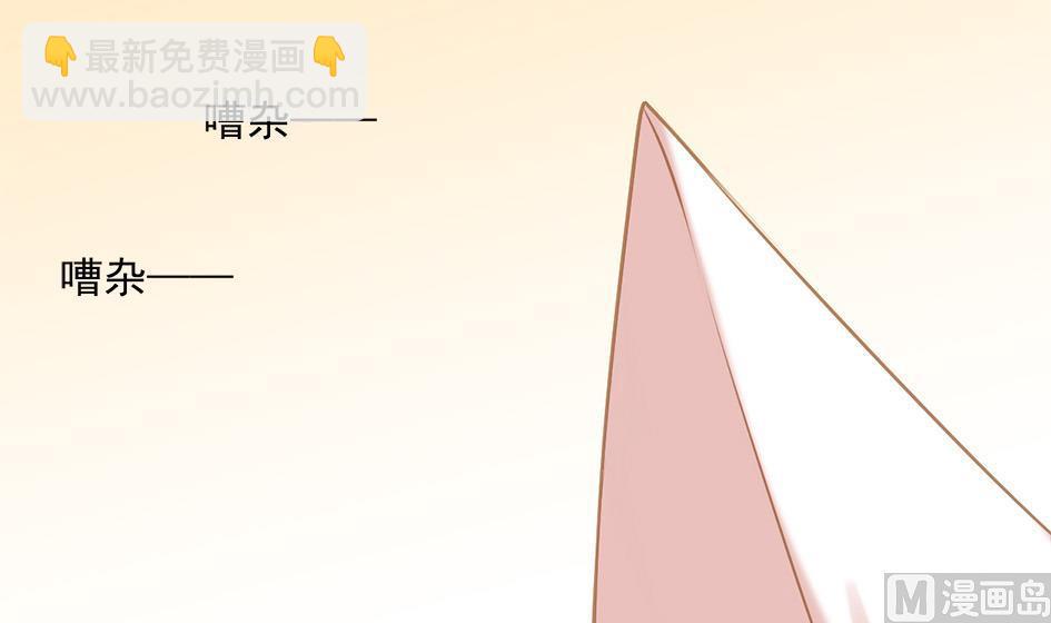 《天狐劫》第054劫 面临抉择的玄霖 第12页