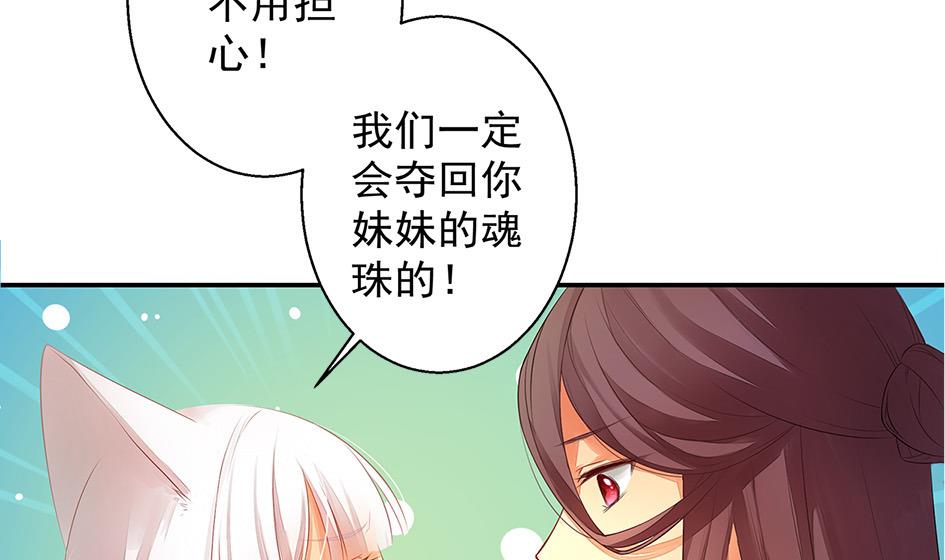 《天狐劫》第054劫 面临抉择的玄霖 第34页