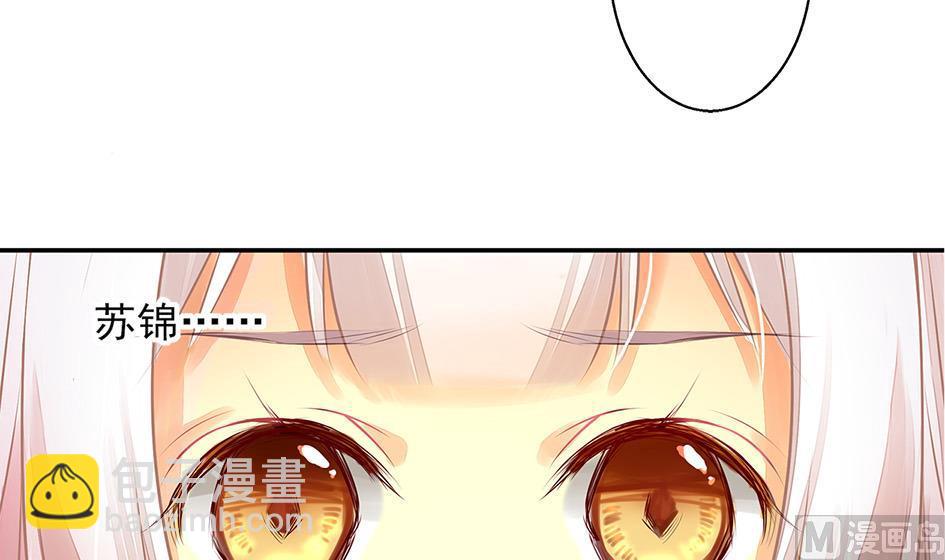 《天狐劫》第054劫 面临抉择的玄霖 第36页