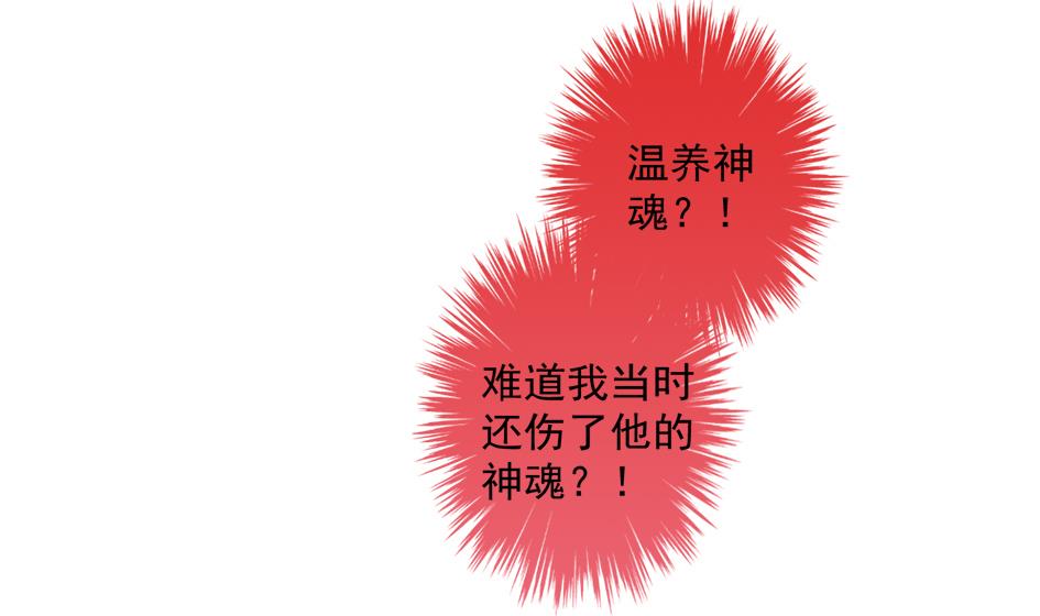 《天狐劫》第053劫 苏锦！快捡起节操！ 第13页