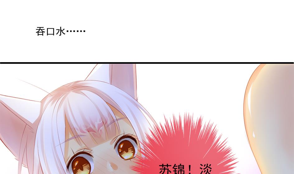 《天狐劫》第053劫 苏锦！快捡起节操！ 第41页