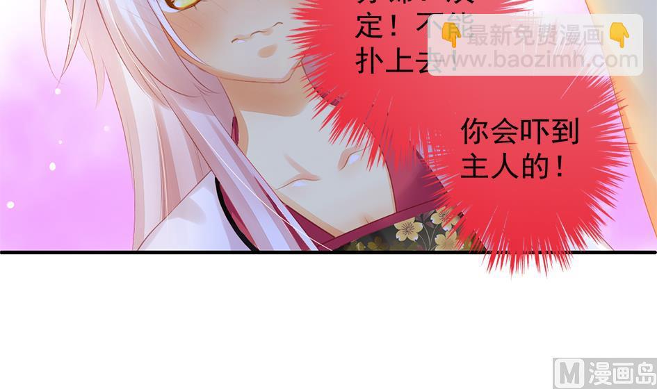 《天狐劫》第053劫 苏锦！快捡起节操！ 第42页