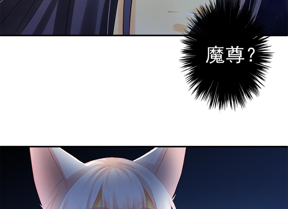 《天狐劫》第053劫 苏锦！快捡起节操！ 第49页