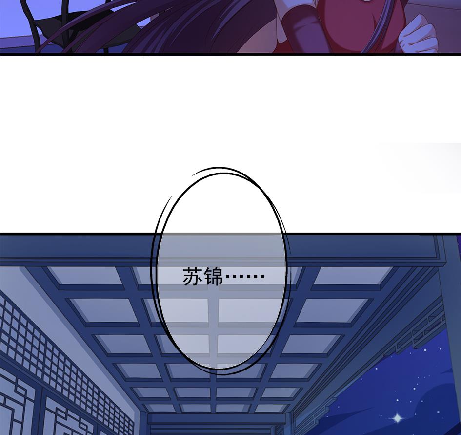 《天狐劫》第056劫 苏锦有难 第28页