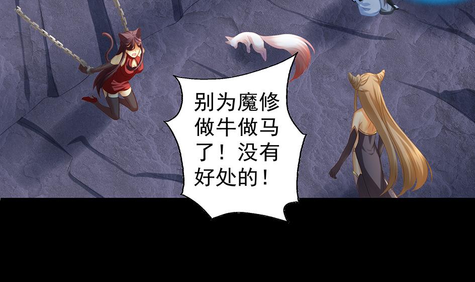 《天狐劫》第071劫 苏锦的反击 第11页