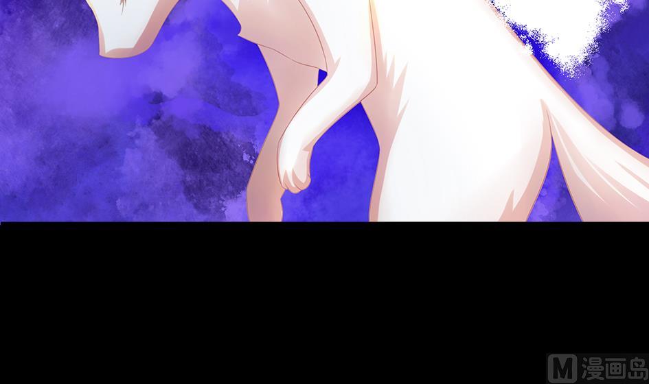 《天狐劫》第071劫 苏锦的反击 第15页