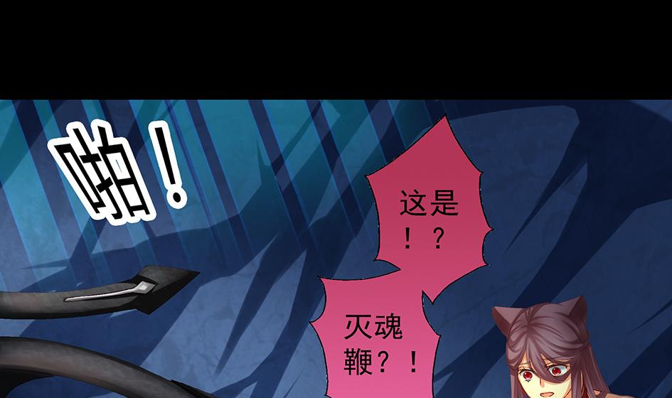 《天狐劫》第071劫 苏锦的反击 第16页