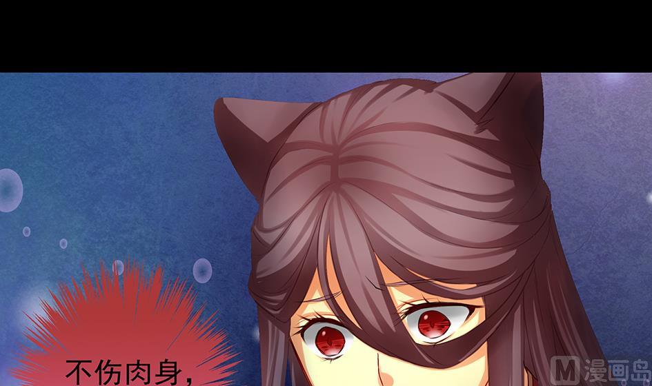 《天狐劫》第071劫 苏锦的反击 第18页