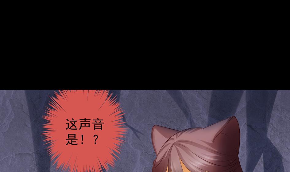 《天狐劫》第071劫 苏锦的反击 第32页