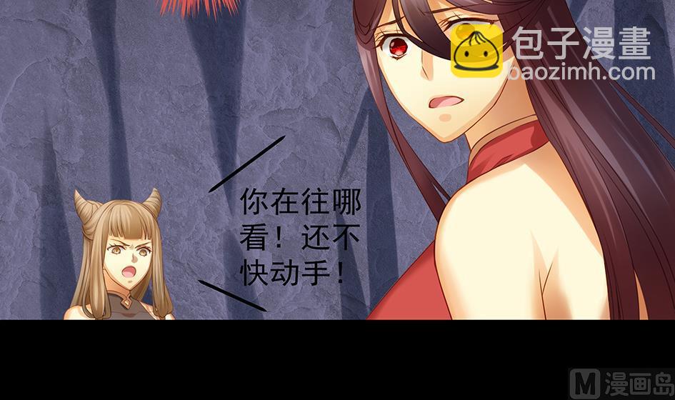 《天狐劫》第071劫 苏锦的反击 第33页