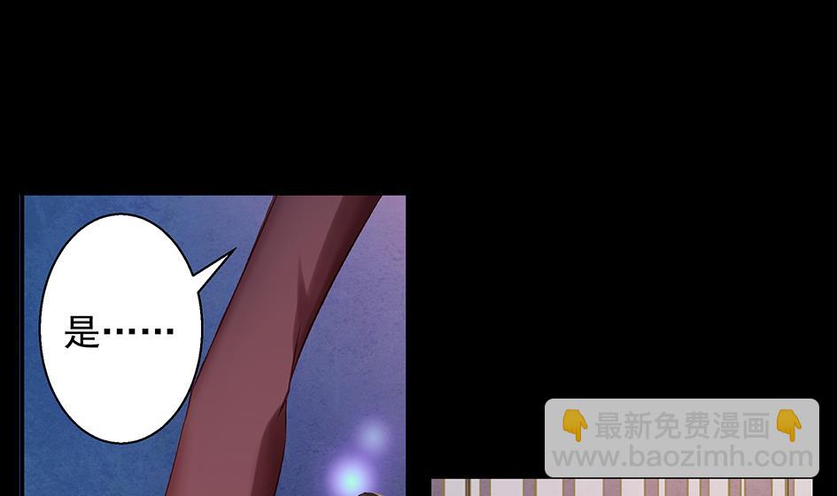 《天狐劫》第071劫 苏锦的反击 第34页