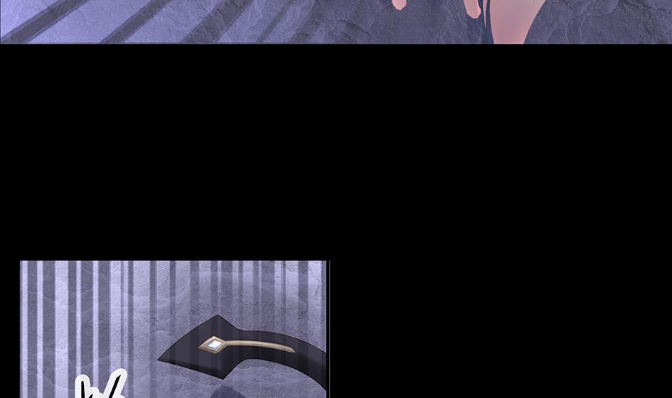 《天狐劫》第071劫 苏锦的反击 第40页
