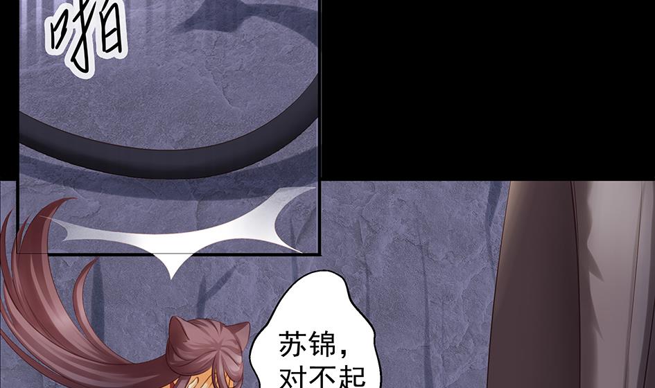 《天狐劫》第071劫 苏锦的反击 第41页