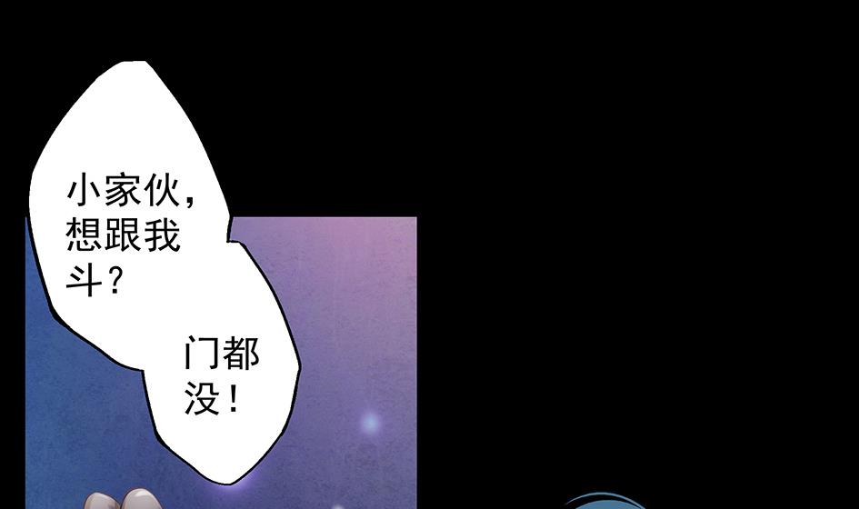 《天狐劫》第071劫 苏锦的反击 第43页