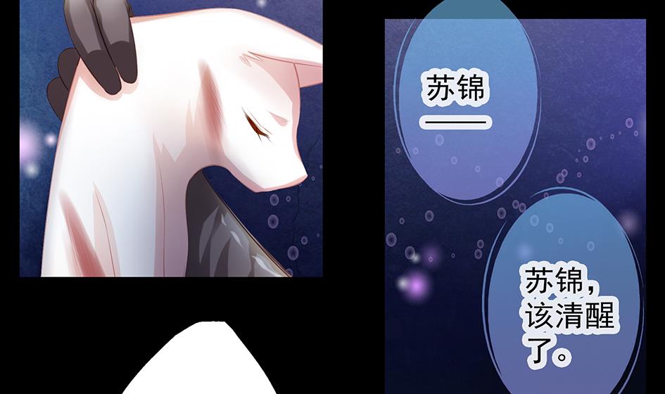 《天狐劫》第071劫 苏锦的反击 第44页
