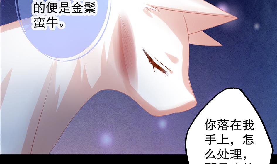 《天狐劫》第071劫 苏锦的反击 第46页