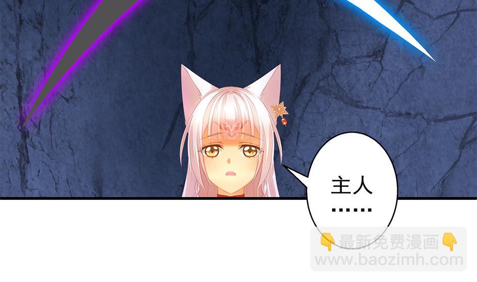 《天狐劫》第076劫 原来只是为了华灵 第20页