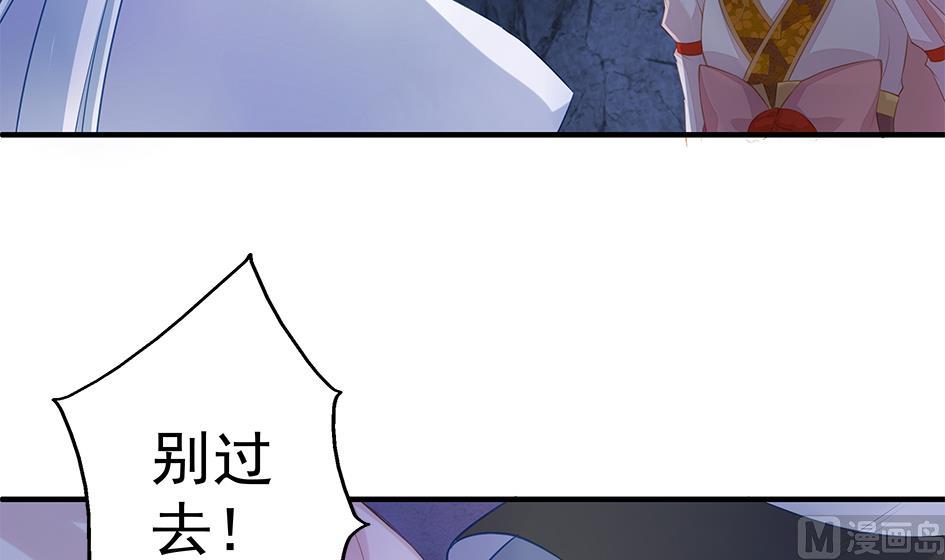 《天狐劫》第076劫 原来只是为了华灵 第48页