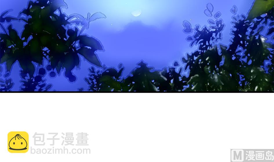 《天狐劫》第090劫 决心 第3页