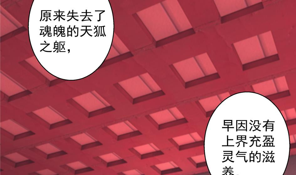 《天狐劫》第099劫 纠结的关系 第26页