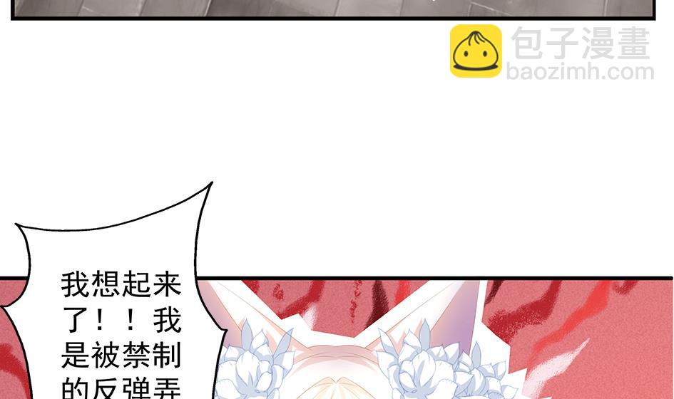 《天狐劫》第101劫 阴谋与监禁 2 第29页