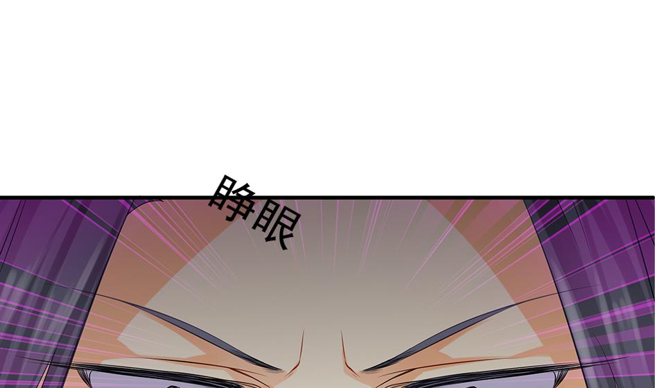 《天狐劫》第103劫 凌月阳的挑衅 第28页
