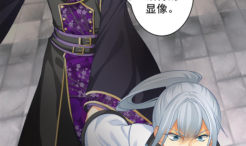 《天狐劫》第103劫 凌月阳的挑衅 第44页