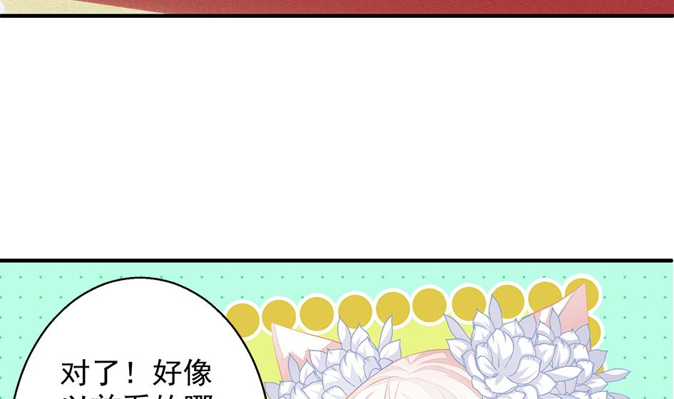 《天狐劫》第106劫 狗洞与尊严 第28页