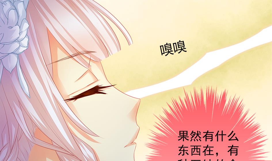 《天狐劫》第107劫 再见凌月阳 第22页