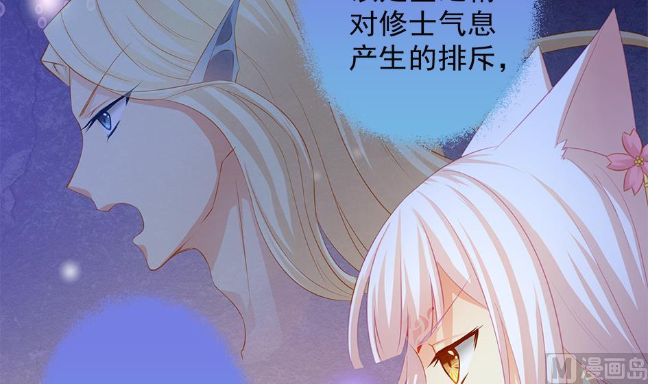 《天狐劫》第119劫 闪瞎狐眼 第12页