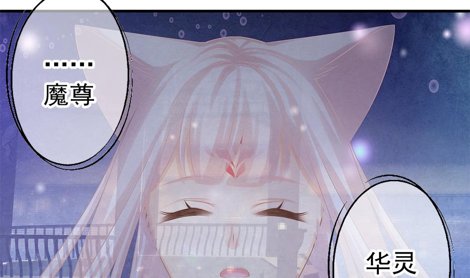 《天狐劫》第132劫 孽缘 2 第29页