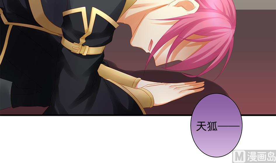 《天狐劫》第147劫 墨珩的条件 第3页