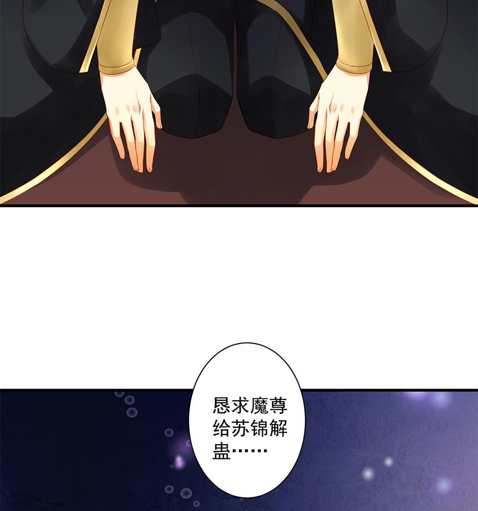 《天狐劫》第146劫 绝情蛊 第37页
