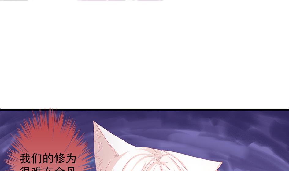 《天狐劫》第172劫 以身犯险 第13页