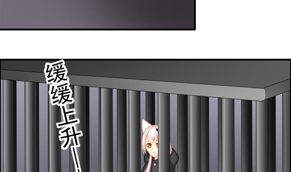 《天狐劫》第210话 拍卖进行时 2 第43页
