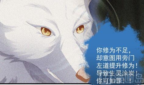 《天狐劫》第225话 穷奇的过去 第27页