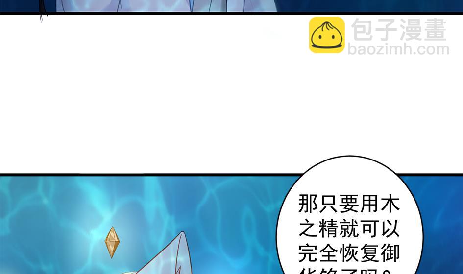 《天狐劫》第227话 木之精 第29页